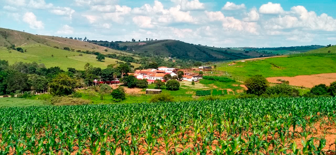 Estrutura da Fazenda