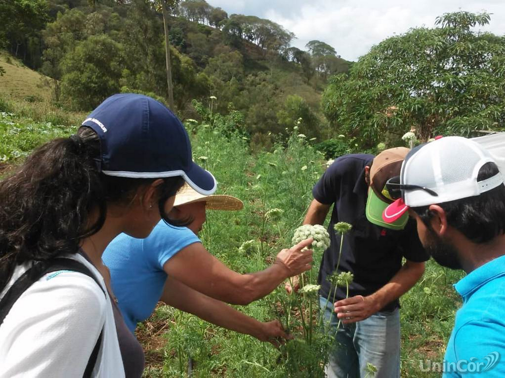 visita tecnica agronomia02