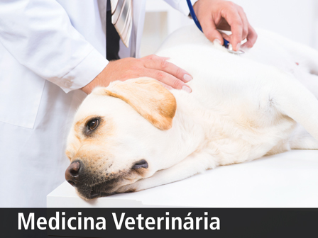 medicina veterinaria